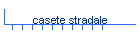 casete stradale