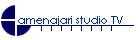 amenajari studio TV