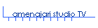 amenajari studio TV